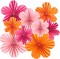 9 PCS Pink and Orange Party Decorations Pink Party Decorations Paper Fans Party Decorations